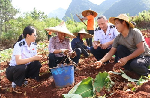 清遠連州 稅惠精準助力 點亮新 硒 望
