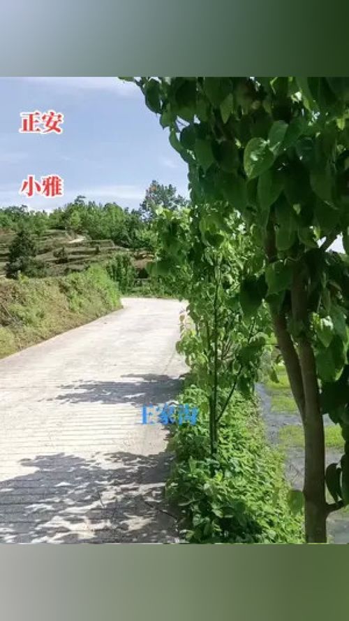 大山深處自然美山清水秀好風光 農村的空氣就是好 金山銀山不如綠水青山 刷到的朋友開心快樂每一天