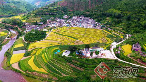 山清水秀彝鄉美 云南姚安縣左門鄉農村人居環境整治工作散紀