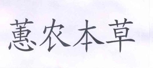 寧夏早安情枸杞研究所