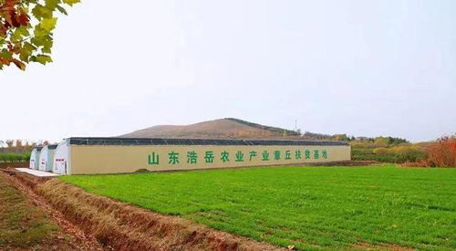 來這里,給你一個收獲滿滿的秋天