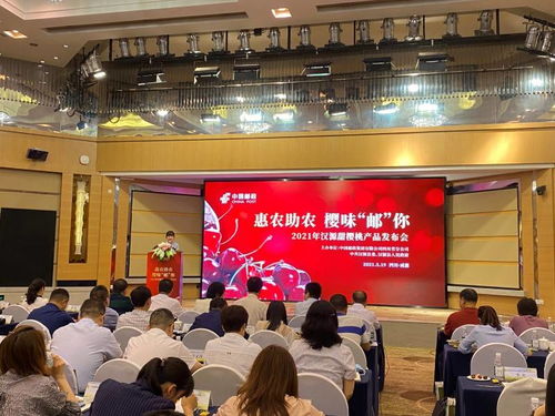 惠農助農 把漢源甜櫻桃帶回家 漢源甜櫻桃產品發布會在蓉舉行