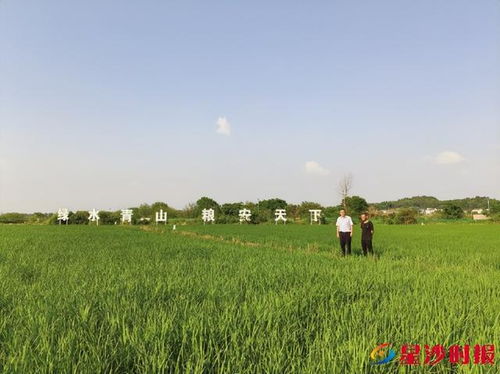 做好 五篇大文章 書寫服務高質量發展 星 答卷