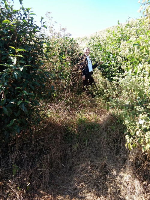 他從藥企高管 高富帥 到返鄉(xiāng)農(nóng)夫 白頭翁 ,10年3000萬砸進(jìn)有機(jī)農(nóng)業(yè),產(chǎn)品出口西亞歐洲,奏響一首不屈的有機(jī)交響樂