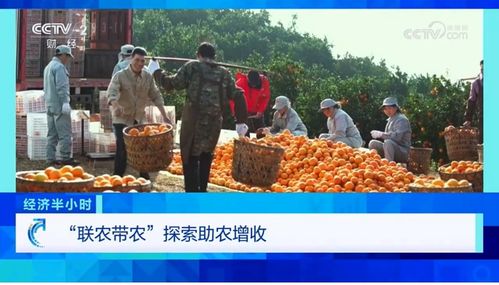 經(jīng)濟(jì)半小時(shí) 里的農(nóng)夫山泉 一家企業(yè)何以成為產(chǎn)業(yè) 壓艙石