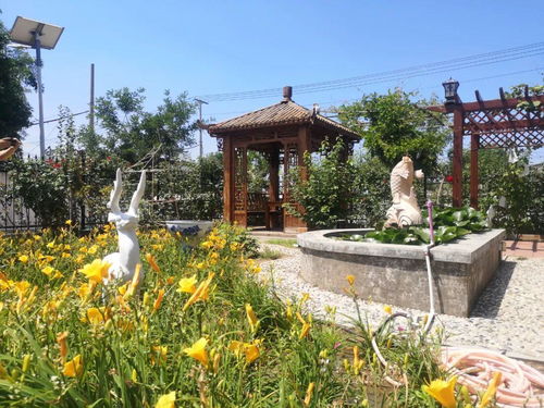 美麗庭院 上新 唐山11個